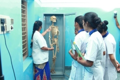Anatomy-Lab-5