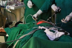 Clinical-Facilities-1