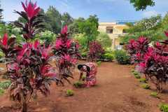 IMG-20200824-WA0002