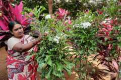 IMG-20200824-WA0029