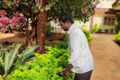 IMG-20200824-WA0031
